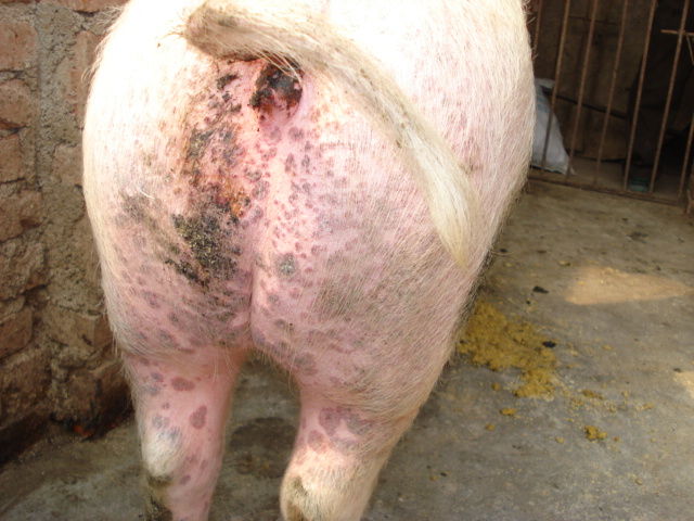 5357cc��˹ά��˹(�й�)���޹�˾����