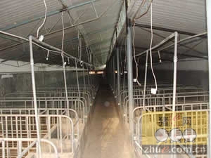 5357cc��˹ά��˹(�й�)���޹�˾����