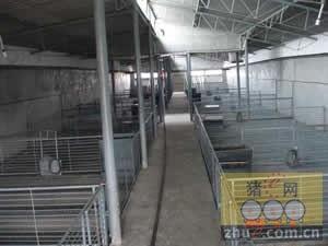 5357cc��˹ά��˹(�й�)���޹�˾����