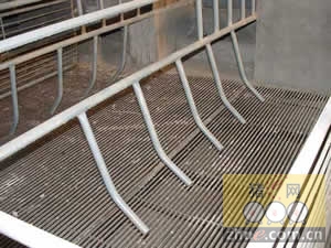 5357cc��˹ά��˹(�й�)���޹�˾����