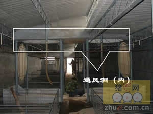 5357cc��˹ά��˹(�й�)���޹�˾����