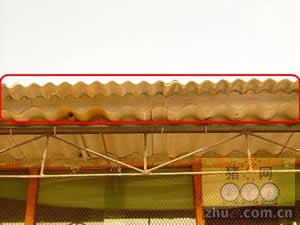 5357cc��˹ά��˹(�й�)���޹�˾����