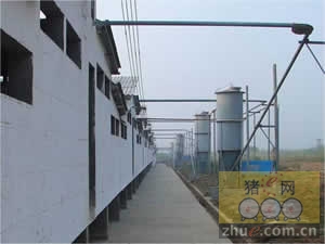 5357cc��˹ά��˹(�й�)���޹�˾����