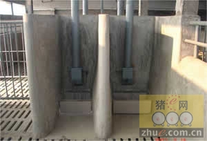 5357cc��˹ά��˹(�й�)���޹�˾����