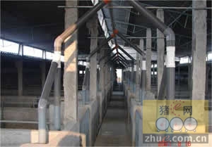 5357cc��˹ά��˹(�й�)���޹�˾����