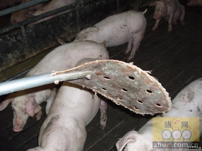 5357cc��˹ά��˹(�й�)���޹�˾����