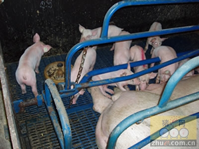 5357cc��˹ά��˹(�й�)���޹�˾����