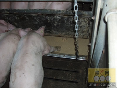 5357cc��˹ά��˹(�й�)���޹�˾����