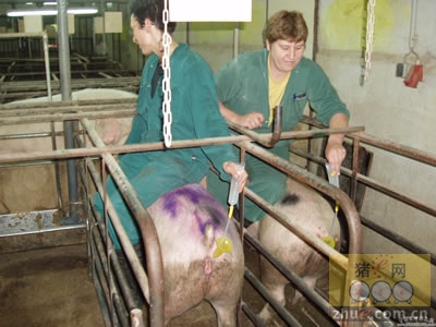 5357cc��˹ά��˹(�й�)���޹�˾����