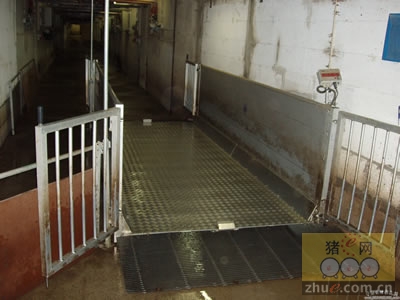 5357cc��˹ά��˹(�й�)���޹�˾����