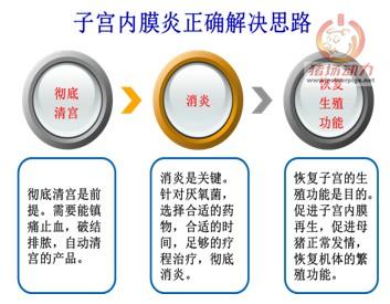 5357cc��˹ά��˹(�й�)���޹�˾����