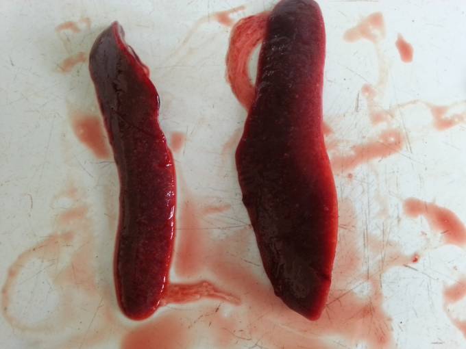 5357cc��˹ά��˹(�й�)���޹�˾����