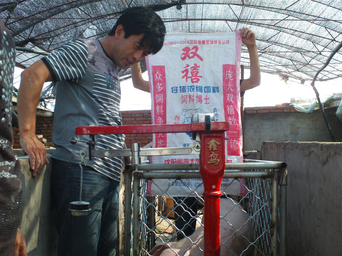 5357cc��˹ά��˹(�й�)���޹�˾����