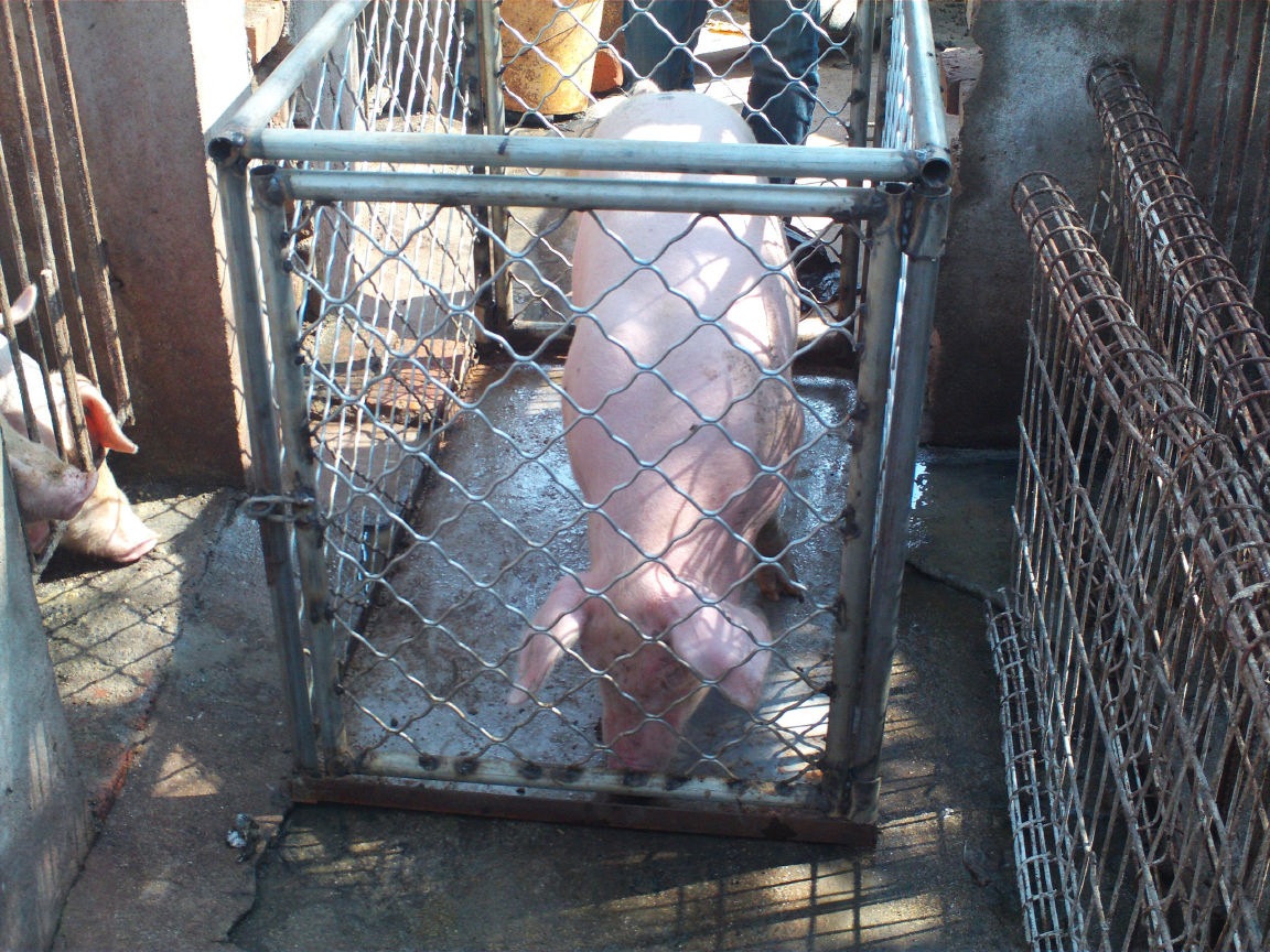 5357cc��˹ά��˹(�й�)���޹�˾����