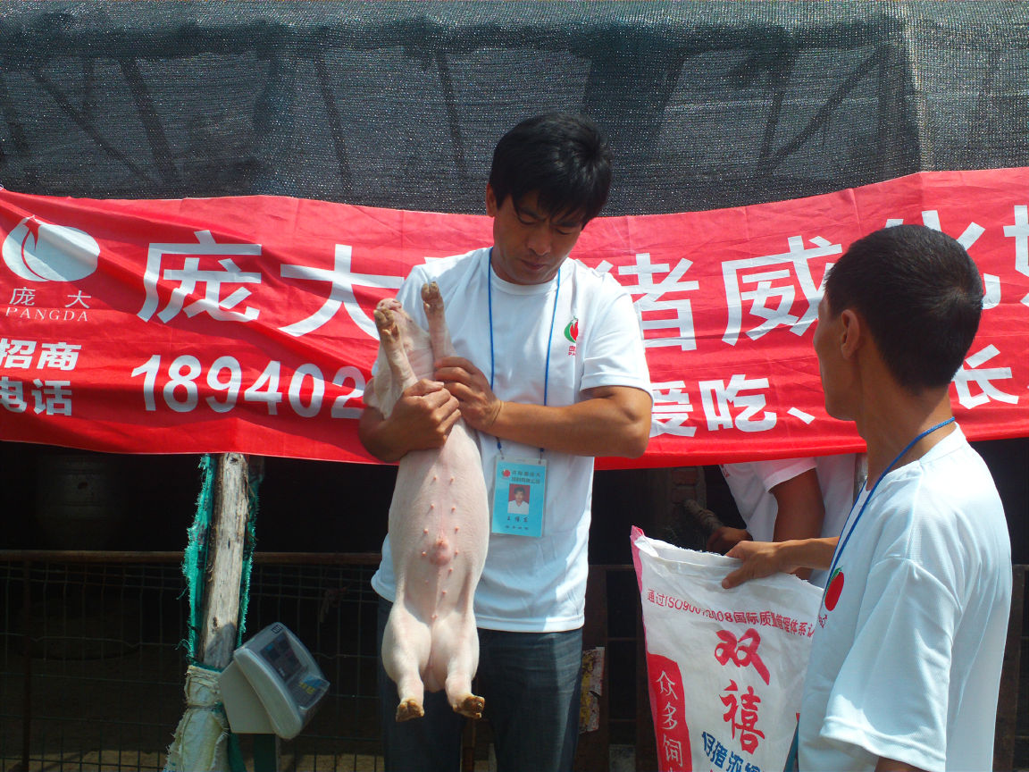 5357cc��˹ά��˹(�й�)���޹�˾����