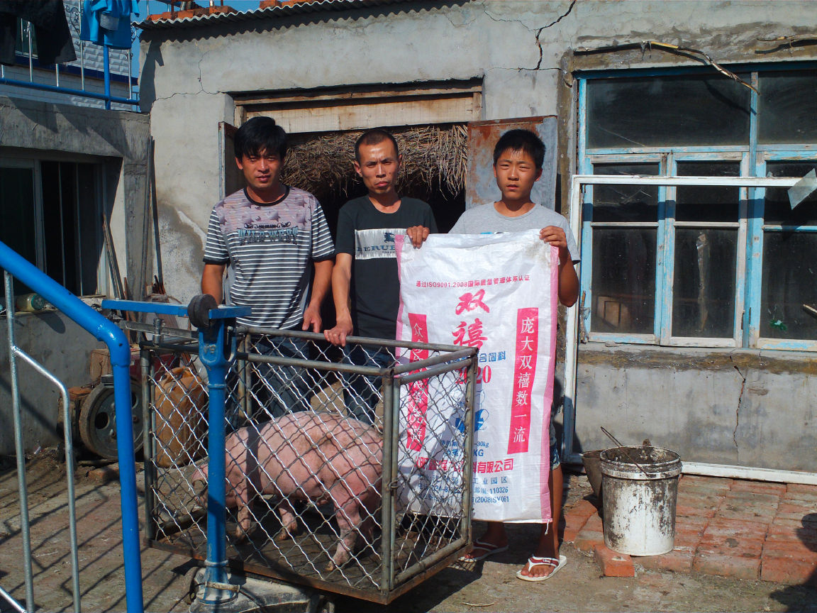 5357cc��˹ά��˹(�й�)���޹�˾����