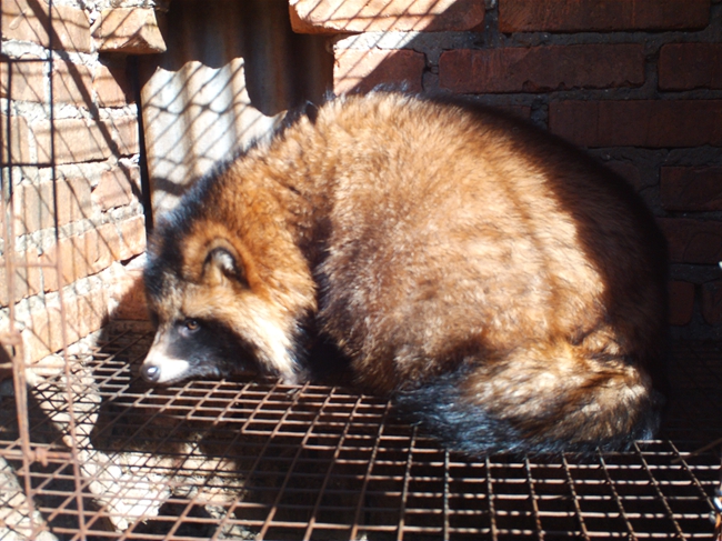 5357cc��˹ά��˹(�й�)���޹�˾����