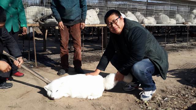 5357cc��˹ά��˹(�й�)���޹�˾����