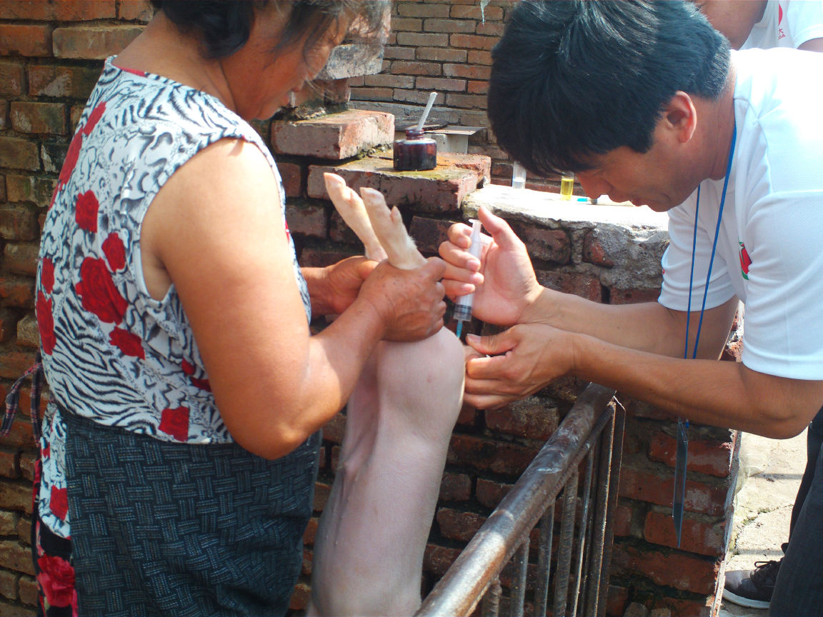 5357cc��˹ά��˹(�й�)���޹�˾����