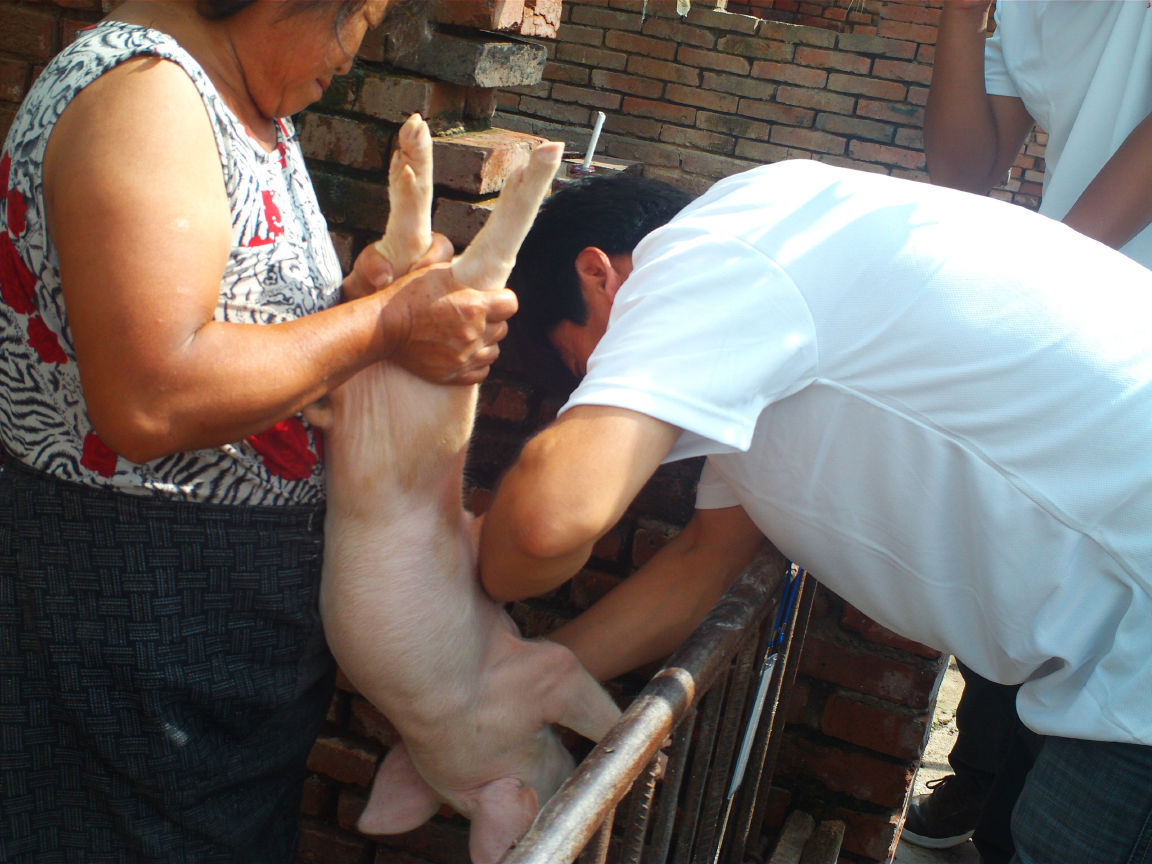 5357cc��˹ά��˹(�й�)���޹�˾����