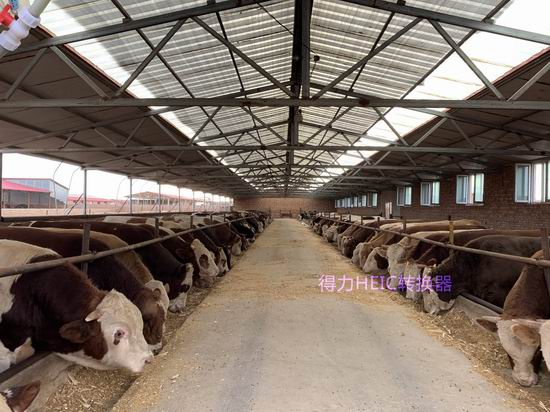 5357cc��˹ά��˹(�й�)���޹�˾����