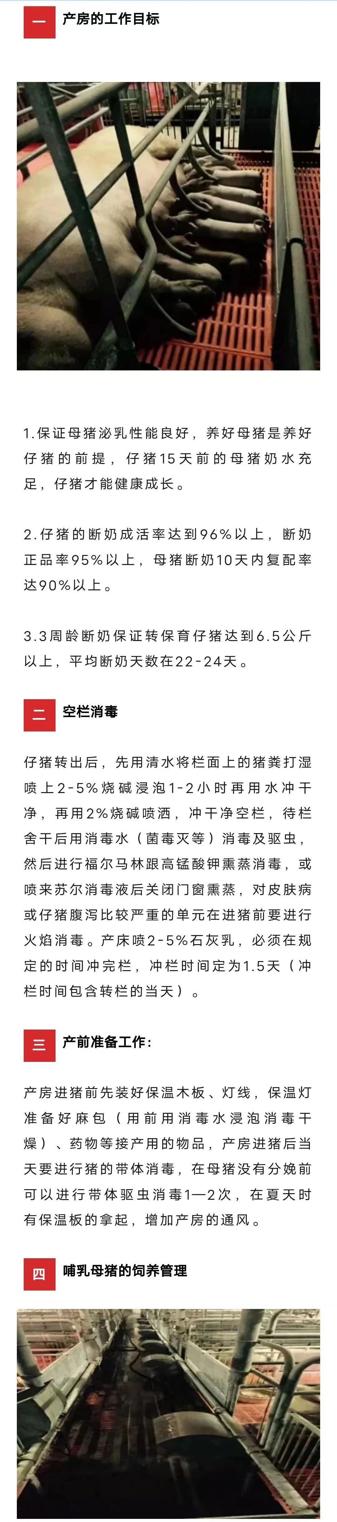 5357cc��˹ά��˹(�й�)���޹�˾����