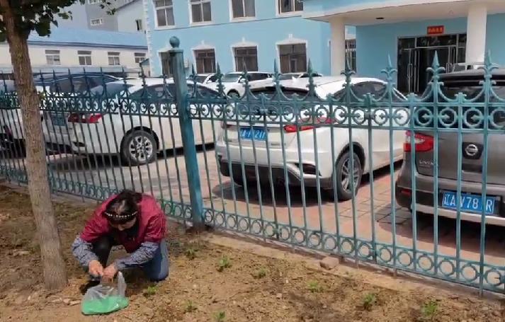 5357cc��˹ά��˹(�й�)���޹�˾����