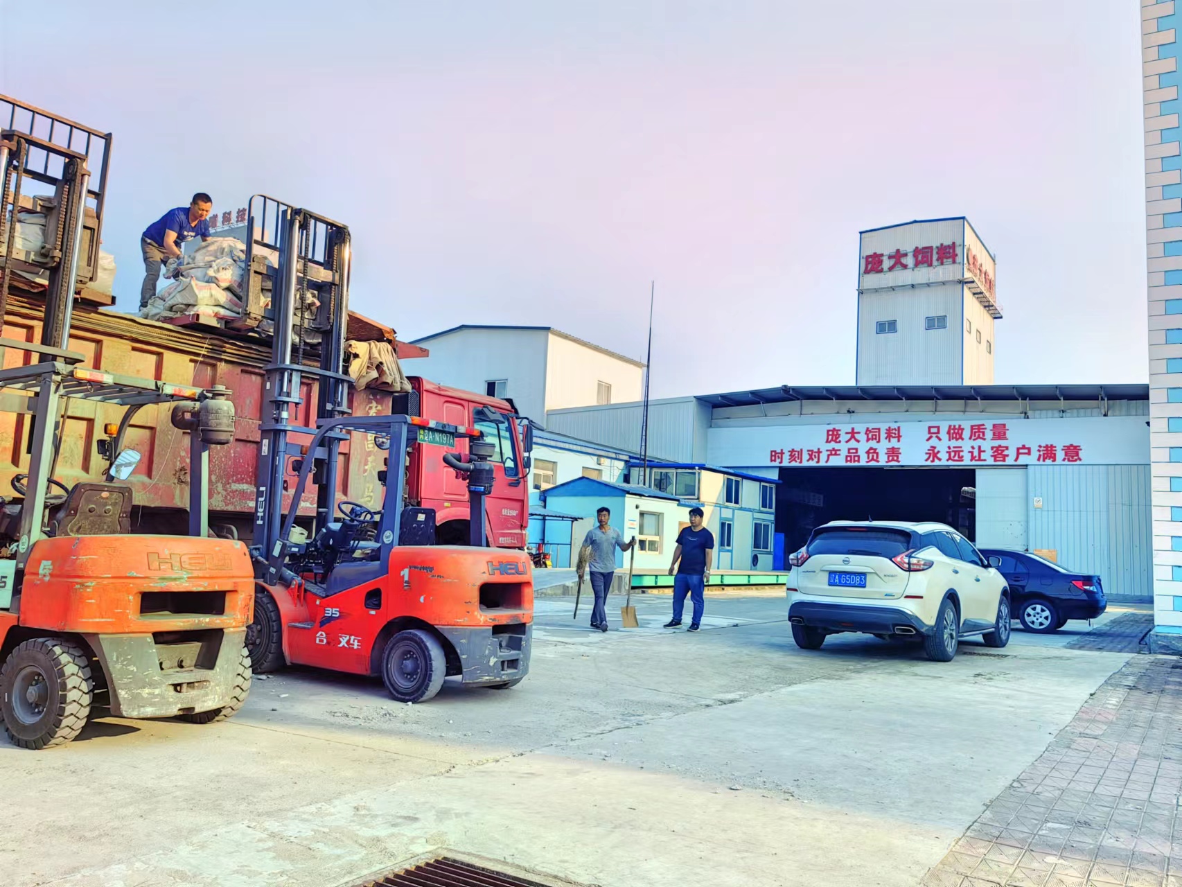 5357cc��˹ά��˹(�й�)���޹�˾����