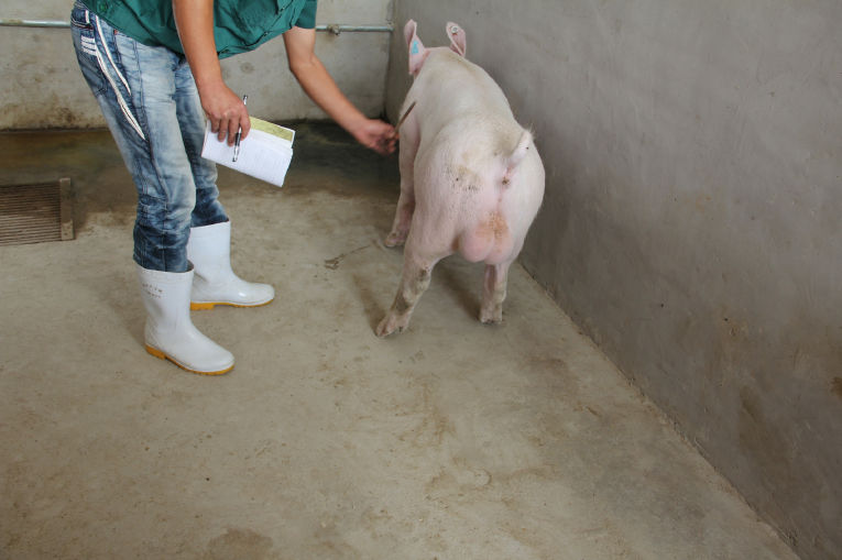 5357cc��˹ά��˹(�й�)���޹�˾����