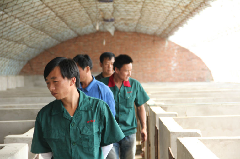 5357cc��˹ά��˹(�й�)���޹�˾����