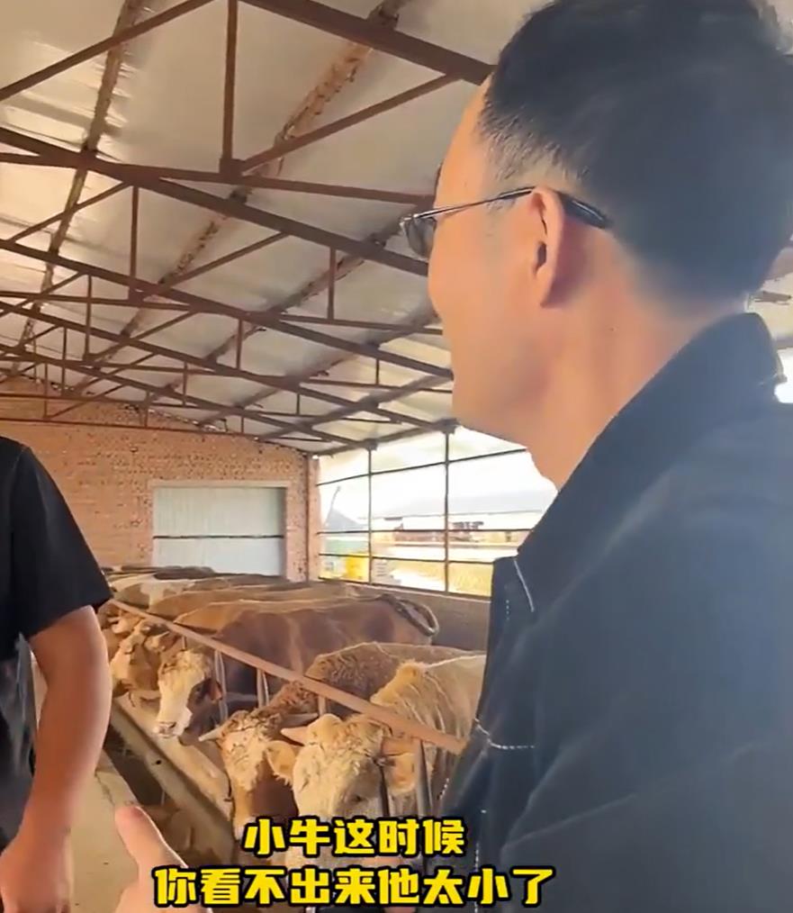 5357cc��˹ά��˹(�й�)���޹�˾����