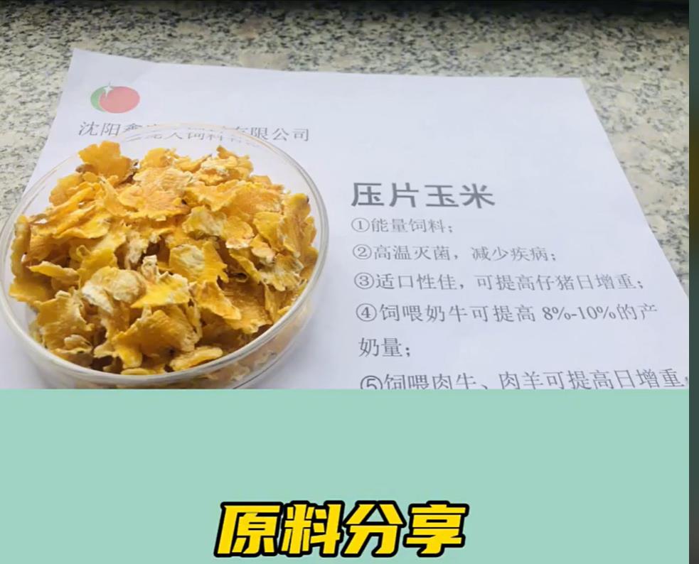 5357cc��˹ά��˹(�й�)���޹�˾����