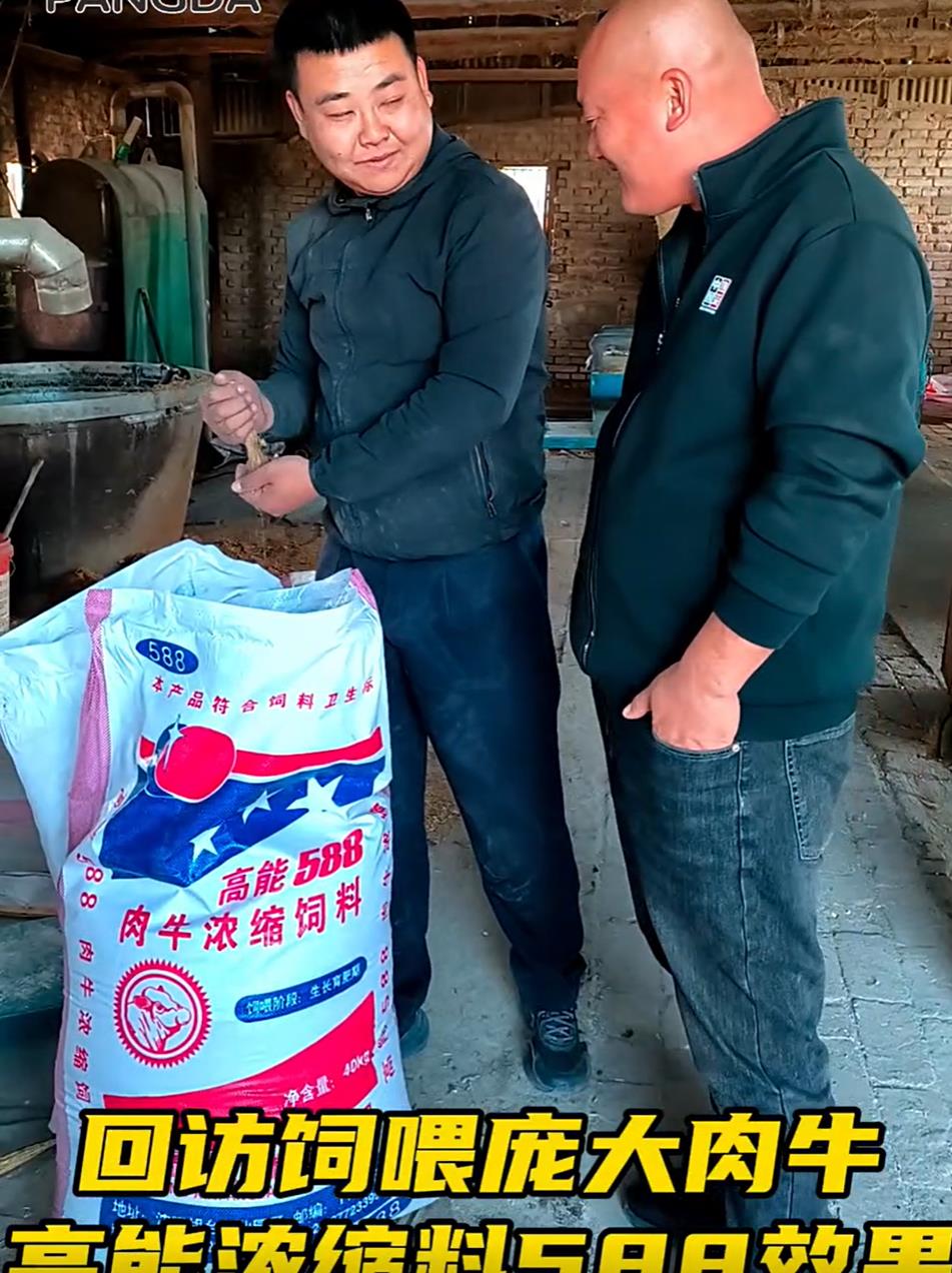 5357cc��˹ά��˹(�й�)���޹�˾����