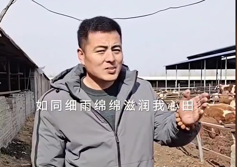 5357cc��˹ά��˹(�й�)���޹�˾����