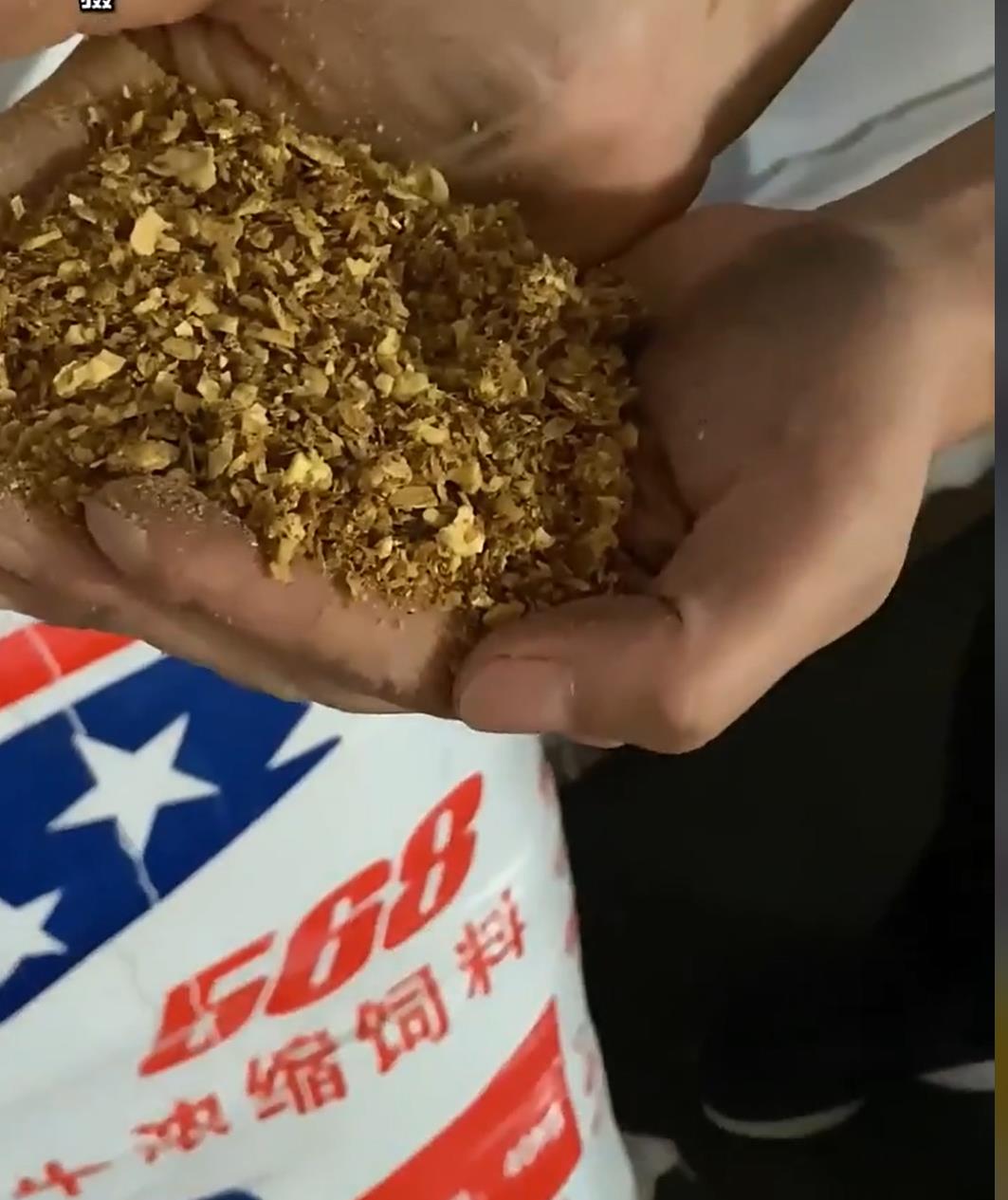 5357cc��˹ά��˹(�й�)���޹�˾����