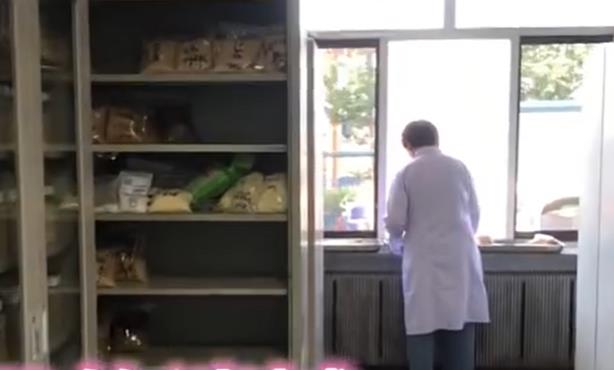 5357cc��˹ά��˹(�й�)���޹�˾����