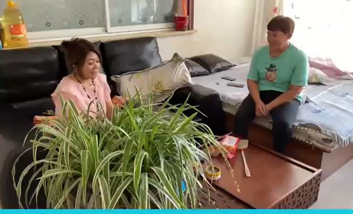 5357cc��˹ά��˹(�й�)���޹�˾����