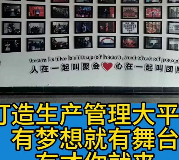 5357cc��˹ά��˹(�й�)���޹�˾����