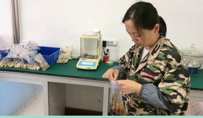 5357cc��˹ά��˹(�й�)���޹�˾����