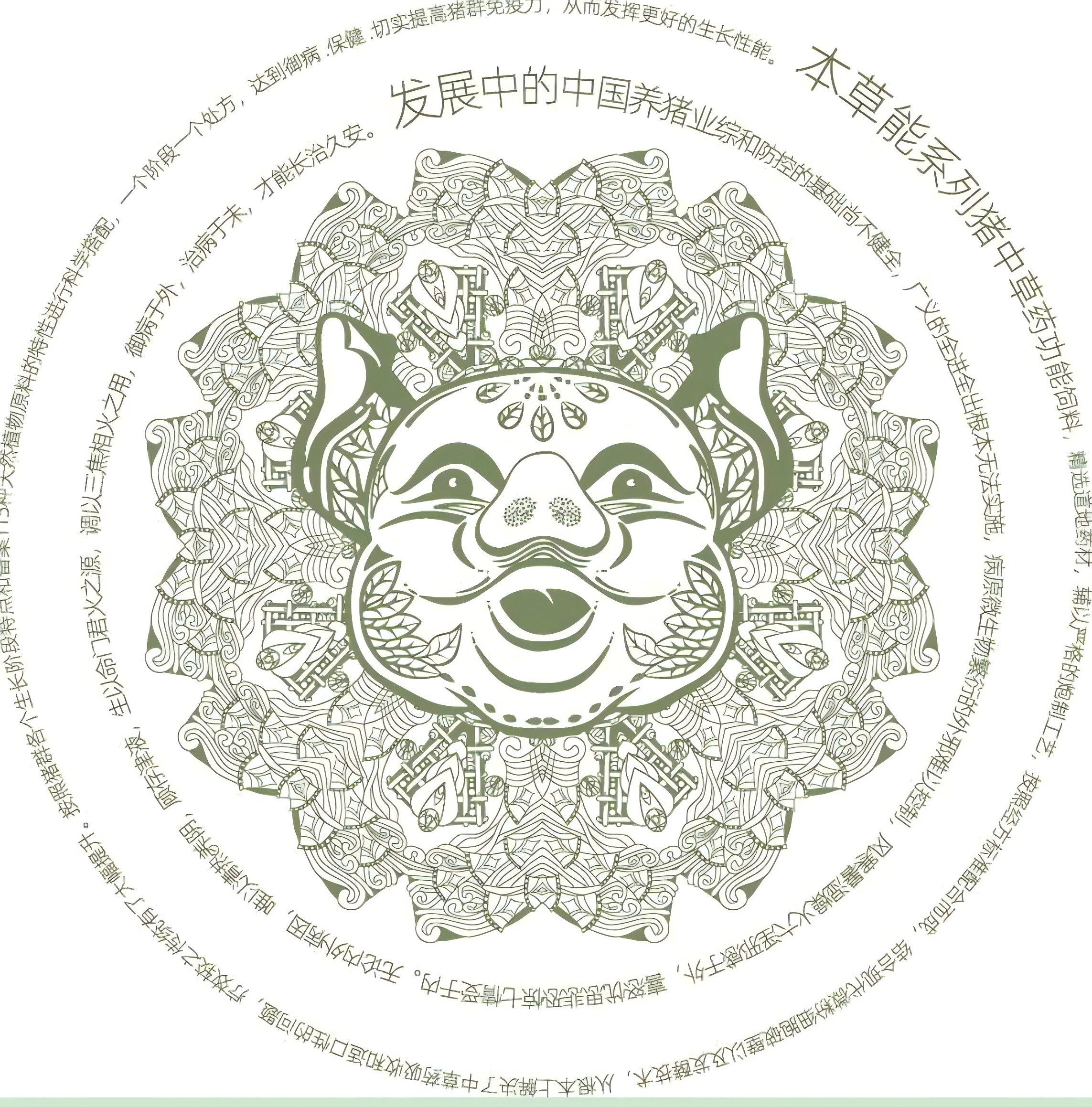 5357cc��˹ά��˹(�й�)���޹�˾����