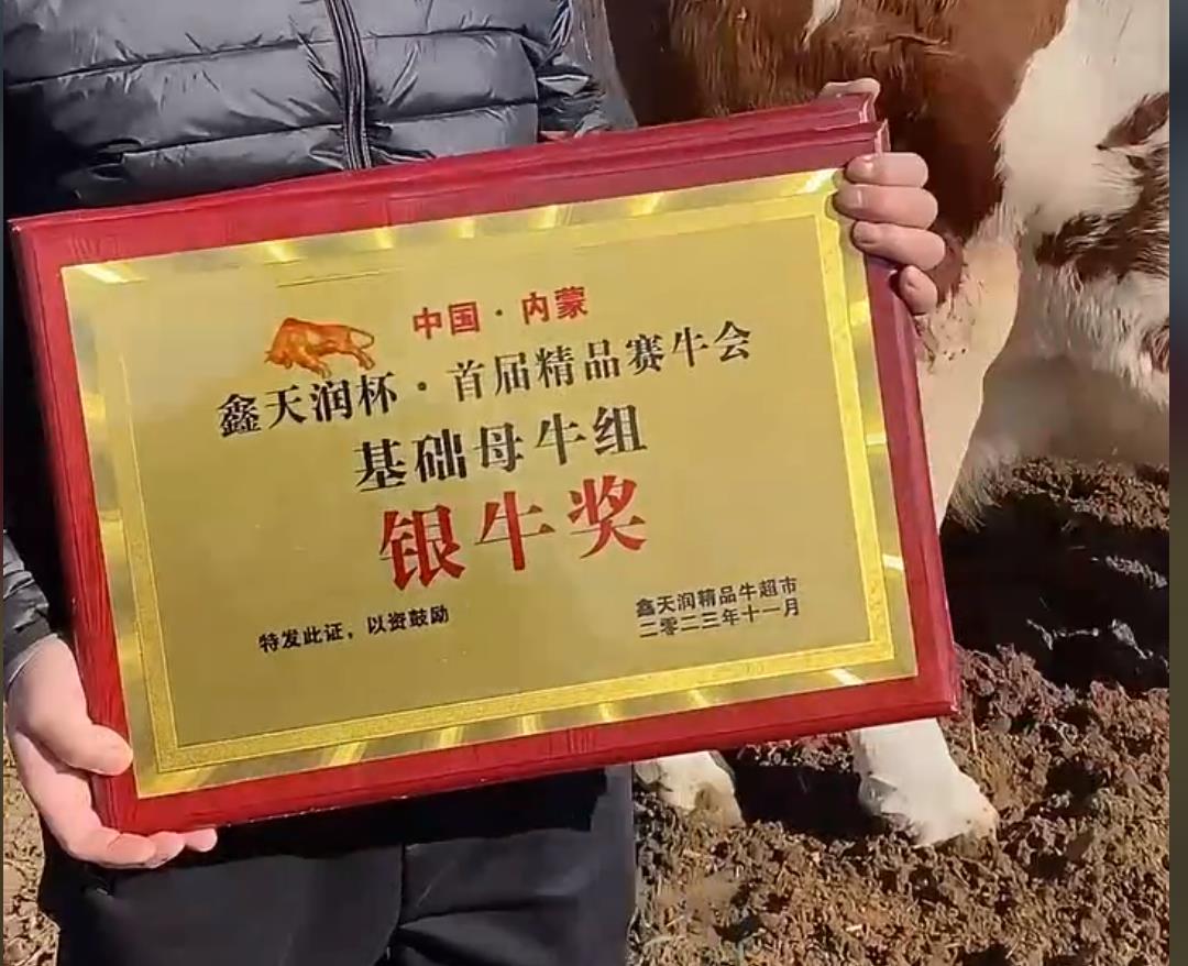 5357cc��˹ά��˹(�й�)���޹�˾����