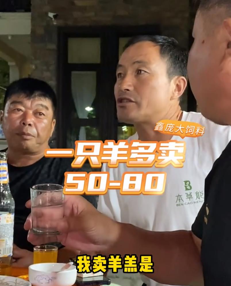 5357cc��˹ά��˹(�й�)���޹�˾����