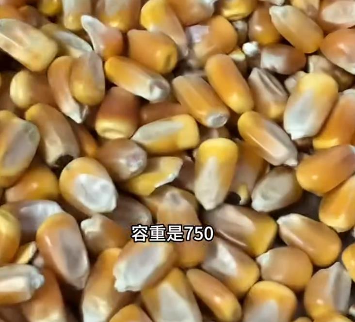 5357cc��˹ά��˹(�й�)���޹�˾����