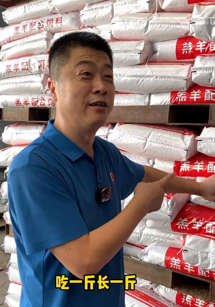 5357cc��˹ά��˹(�й�)���޹�˾����