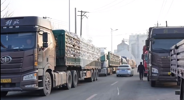 5357cc��˹ά��˹(�й�)���޹�˾����