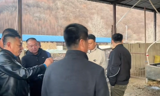 5357cc��˹ά��˹(�й�)���޹�˾����