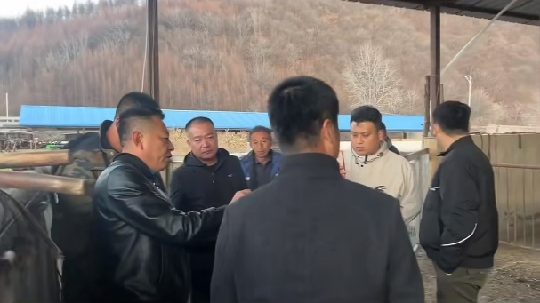 5357cc��˹ά��˹(�й�)���޹�˾����