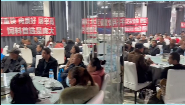 5357cc��˹ά��˹(�й�)���޹�˾����