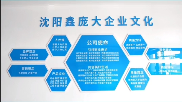 5357cc��˹ά��˹(�й�)���޹�˾����