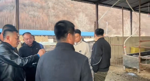 5357cc��˹ά��˹(�й�)���޹�˾����